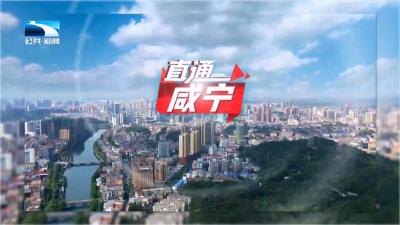 直通咸宁 | 加快打造武汉都市圈绿色发展重要增长极