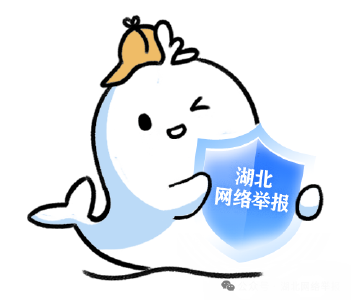 2026年1月湖北省网络举报受理情况