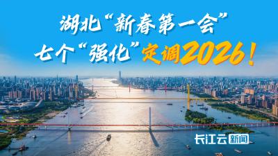 一文读懂丨湖北“新春第一会”：七个“强化” 定调2026！