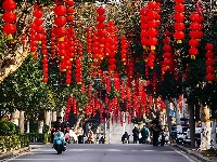 解锁枝江街头的 “新年限定皮肤”！🏮