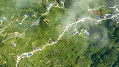 宜昌高山乡村“变形记”：靠“一片叶子”实现人均收入翻倍