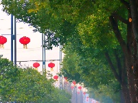 解锁枝江街头的 “新年限定皮肤”！🏮