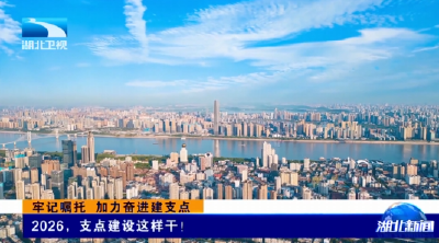 牢记嘱托 加力奋进建支点 | 2026，支点建设这样干！