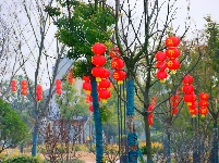 解锁枝江街头的 “新年限定皮肤”！🏮