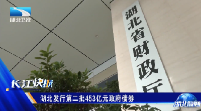 湖北发行第二批453亿元政府债券