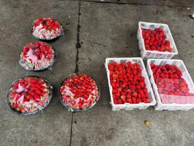 低至1元/斤！武汉正大量上市