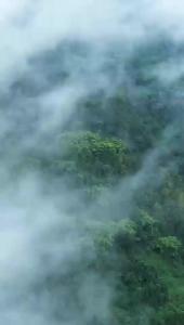 2025年“微短剧 大武当”短视频大赛 | 一等奖《侠梦张三丰之君行武当》第一集