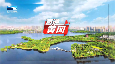 直通黄冈 | 探寻浠水蛋鸡产业挺进百亿之密码：以蛋鸡供应链促进全产业突破性发展