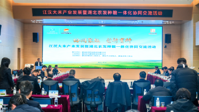 种粮一体化产业联合体启航 打造粮食产业高质量发展“湖北标杆”