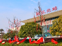 解锁枝江街头的 “新年限定皮肤”！🏮