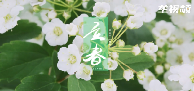 立春 把希望种在心田