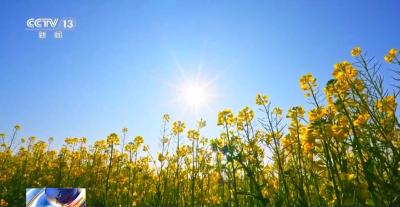 “立春一日，水暖三分” 解码古老农谚背后的科学原理