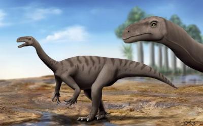 我国团队首次为云南恐龙提供精准“年龄”