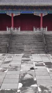 2025年“微短剧 大武当”短视频大赛 | 三等奖《武当奇旅》第六集