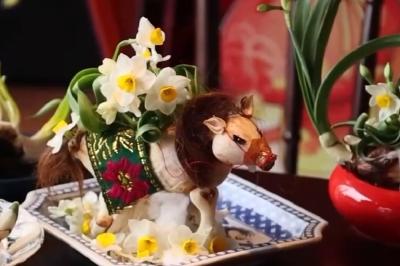 南北花市红火 年宵花点亮消费市场