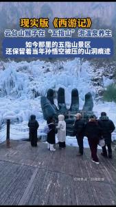 野生猕猴组团在“五指山”泡温泉，快乐玩耍，惬意自在