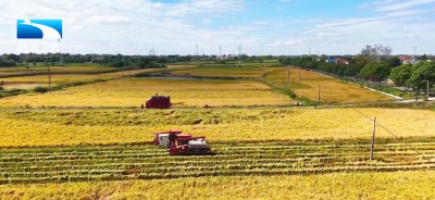 牢记嘱托 建成支点 | 湖北加速打造新时代鱼米之乡