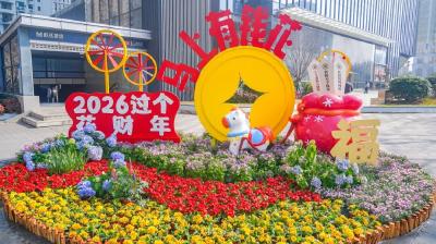 武汉街头年味足，满城飞花迎新年