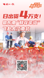 新春走基层丨日出货4万支！鄂东南“鲜花年货”飞赴大江南北