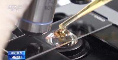 严把年货关！市场监管开展多种专项检查 让消费者不花冤枉钱