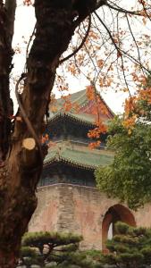 2025年“微短剧 大武当”短视频大赛 | 三等奖《武当奇旅》第三集