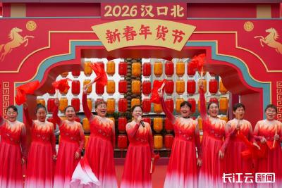2026汉口北新春年货节热闹开场 市民欢聚畅享高情绪价值年味