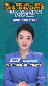 四川一救援队唯一搜救犬被狗贩子偷走后打死售卖