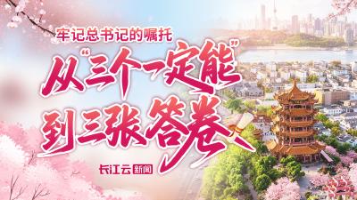 牢记总书记的嘱托丨从“三个一定能”到三张答卷