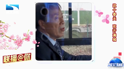 联播@你 | 樱花专线公交司机 “推” 出春天最美的风景