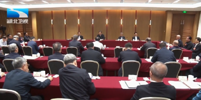 孙伟在审议全国政协常委会工作报告时提出 为推动支点建设取得决定性进展广泛凝心聚力