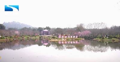 相约春天赏樱花 武汉300余项特色活动邀客来