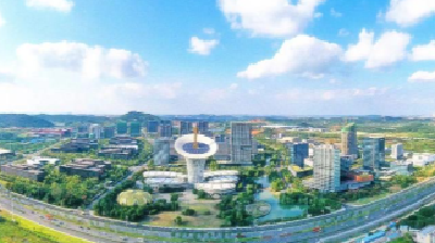 马年第一周，湖北展现“三股劲”