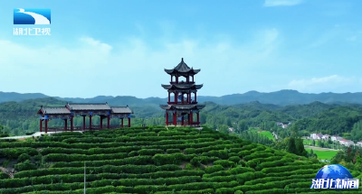 代表委员回基层 