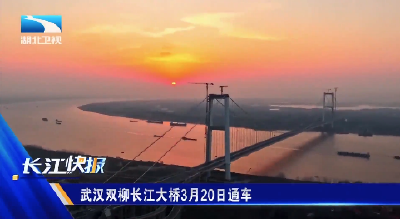 武汉双柳长江大桥3月20日通车