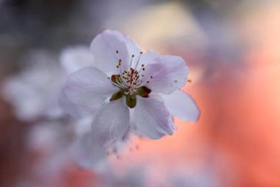 花粉季来临 坚持开窗通风对吗
