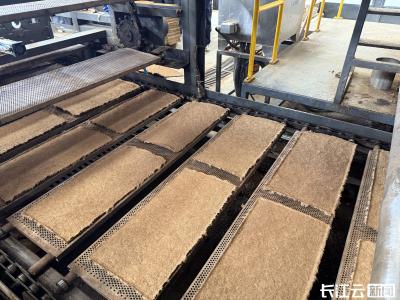 长江云新闻推出《科技闹春耕 育秧正当时 湖北水稻产业量质协同提升技术培训活动在监利举办 》