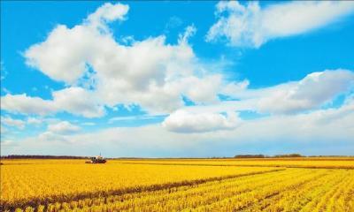 全文发布！2026省委一号文件来了