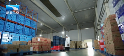 相约春天赏樱花 | 从“情感邀约”到“产业共振”  楚商回乡的双向奔赴