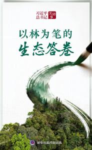 习近平总书记关切事｜以林为笔的生态答卷
