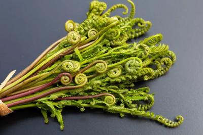 春菜尝“鲜”正当时 这样吃美味又健康