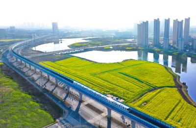 湖北武汉：地铁串联满城春色