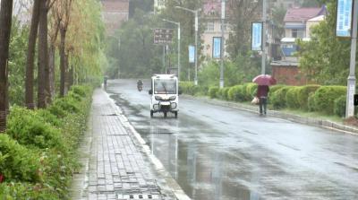 踏青赏花要抓紧了！今天夜间湖北将迎中到大雨