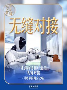 习近平的两会之喻｜从“两张皮”到“无缝对接”