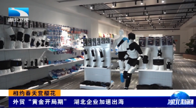 相约春天赏樱花 | 外贸“黄金开局期” 湖北企业加速出海