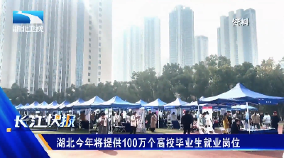 湖北今年将提供100万个高校毕业生就业岗位