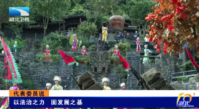 代表委员说 | 以法治之力 固发展之基