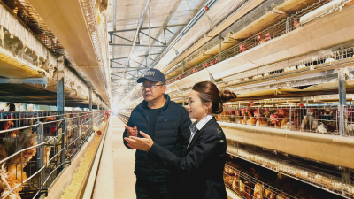 邮储银行安陆市支行金融活水“贷”动蛋禽产业振兴