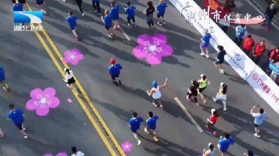 春日花游记 | 古城跑马 古韵悠长