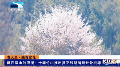 春天里·踏青赏花 | 藏在深山的浪漫！十堰竹山推出赏花线路解锁世外桃源