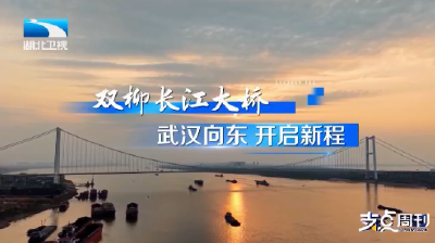 从1到40 跨越和新生丨湖北第40座长江大桥来了！